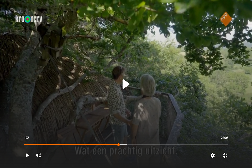 Nos Cabanes dans les arbres avec C. Moullec et Klaas