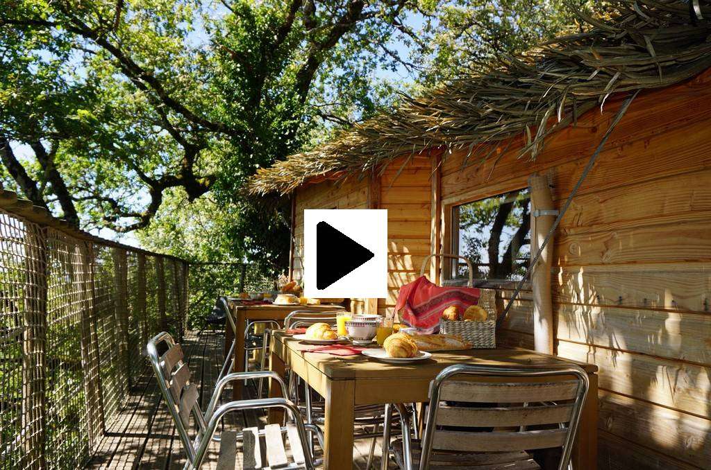 Petit-déjeuner sur la terrasse en bois d'une cabane dans les arbres au cœur du Cantal, Auvergne.